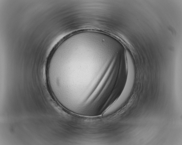 X0000113020788200909101837
