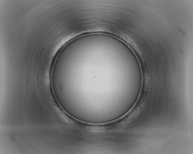 X0000113020789200909101837