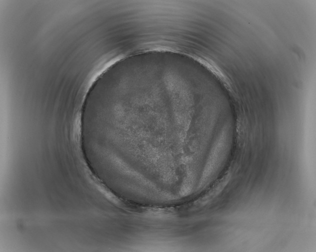 X0000113020790200909101837