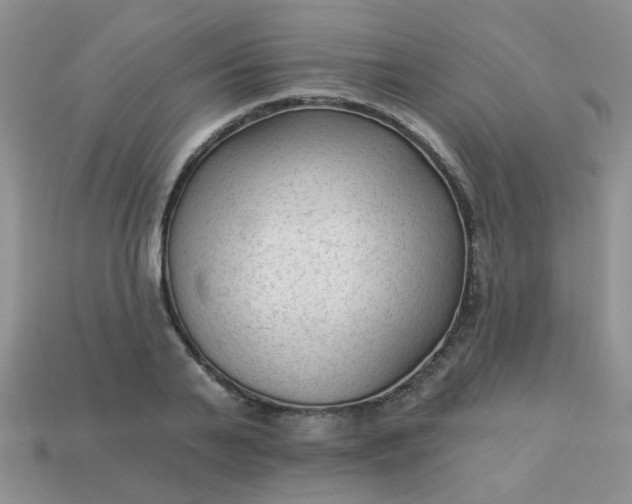 X0000113020791200909101837