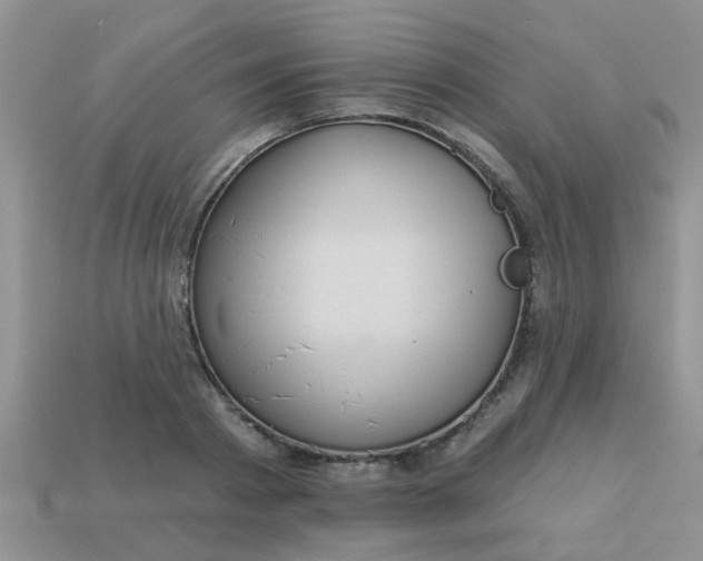 X0000113020793200909101837