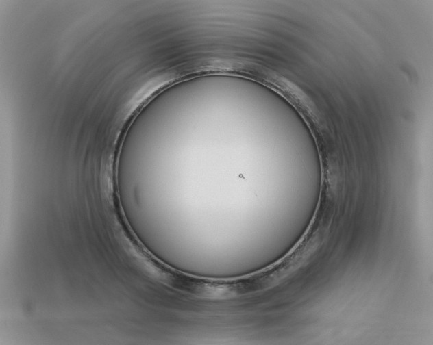 X0000113020794200909101837