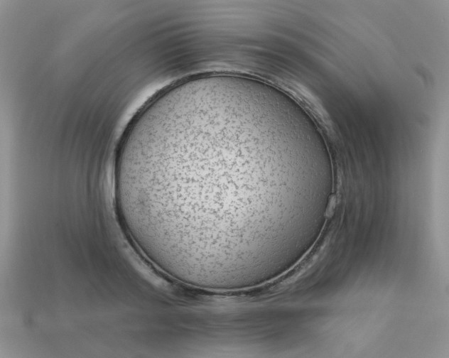 X0000113020796200909101837