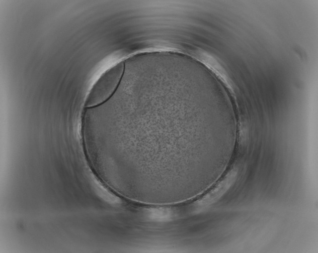 X0000113020797200909101837