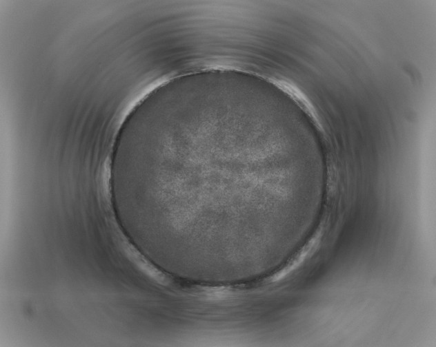 X0000113020798200909101837
