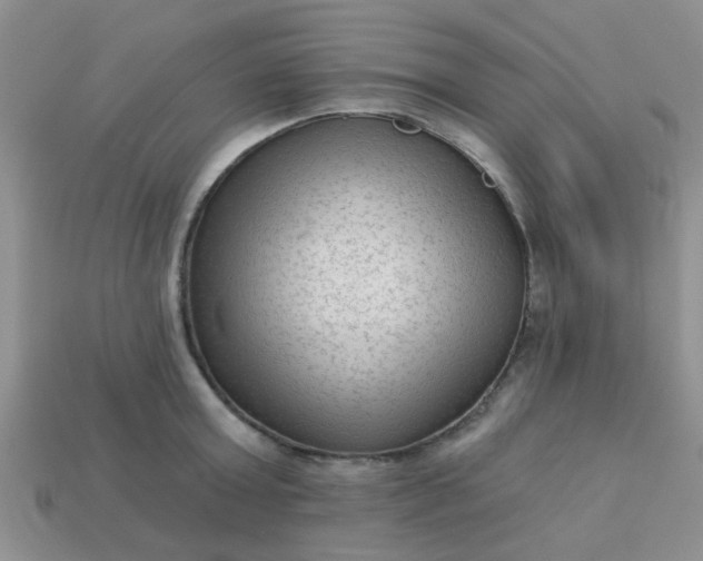 X0000113020803200909101836