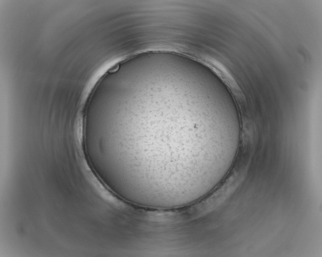 X0000113020804200909101836