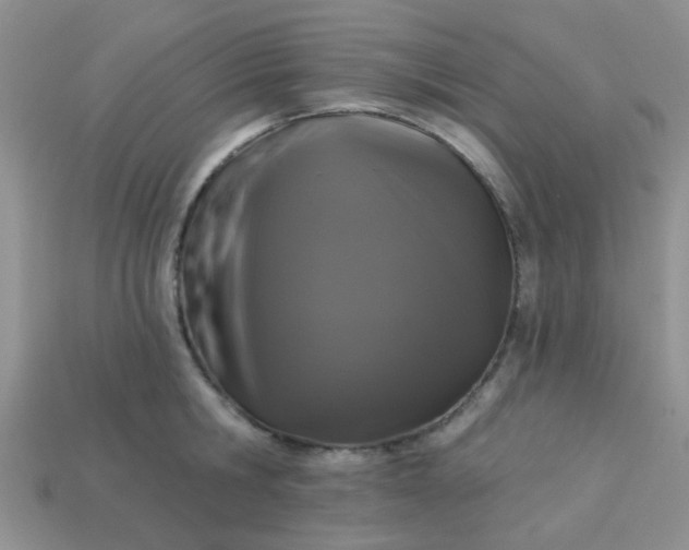 X0000113020806200909101836