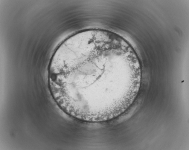 X0000113020807200909101836