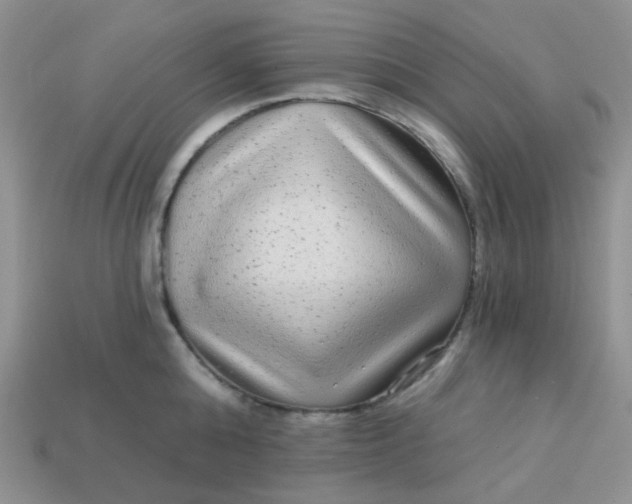 X0000113020808200909101836