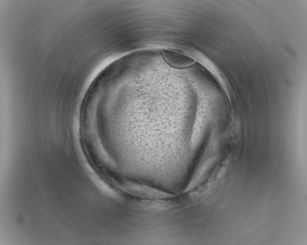 X0000113020811200909101836