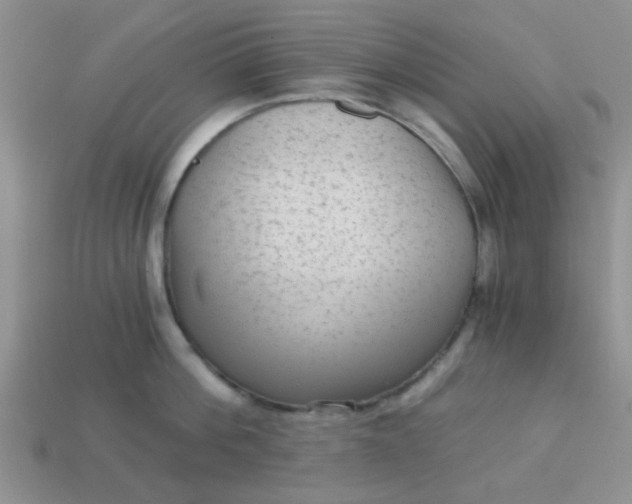X0000113020812200909101836