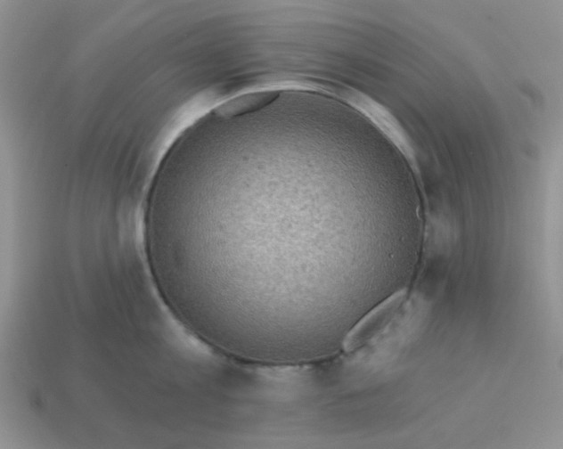 X0000113020813200909101836