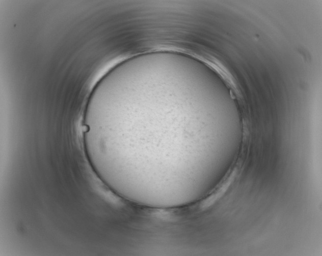 X0000113020814200909101836