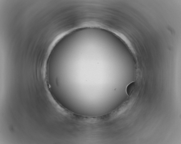 X0000113020815200909101836
