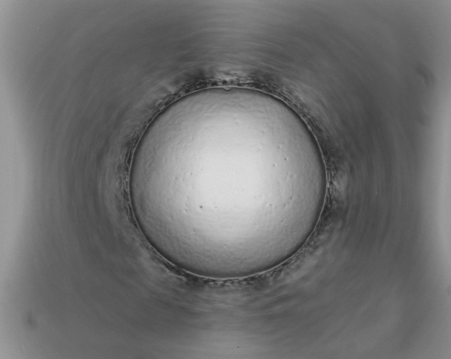 X0000113020817200909101836