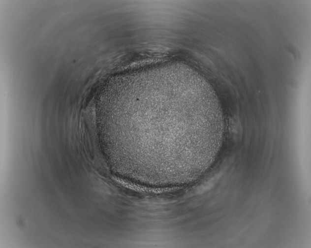 X0000113020818200909101836