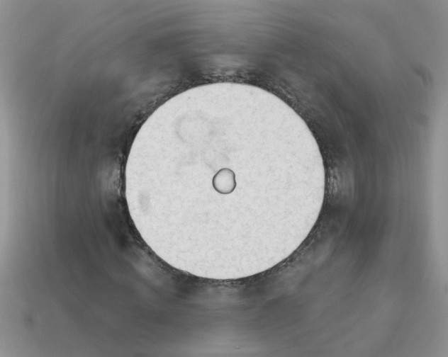 X0000113020820200909101836