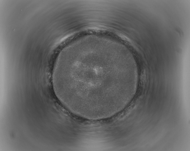 X0000113020822200909101836