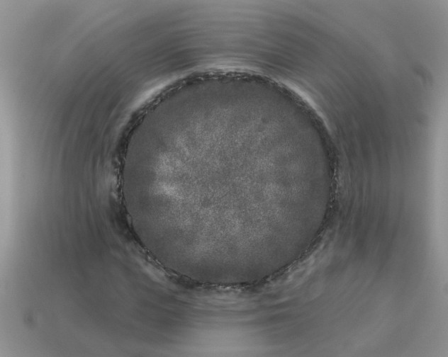 X0000113020823200909101836