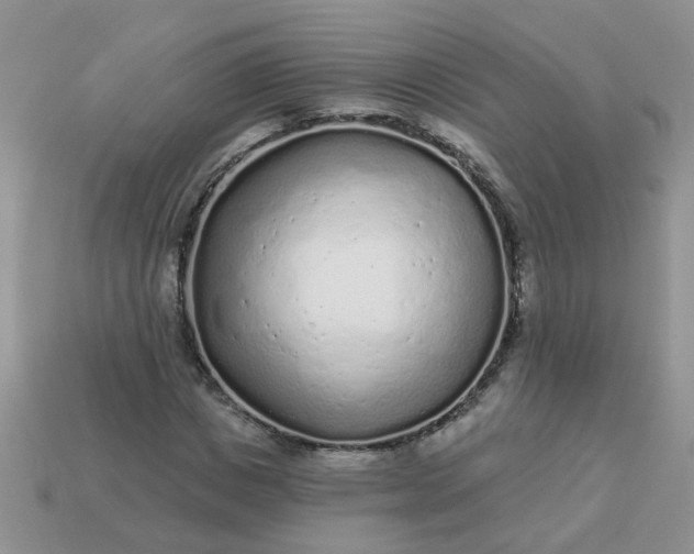 X0000113020825200909101836