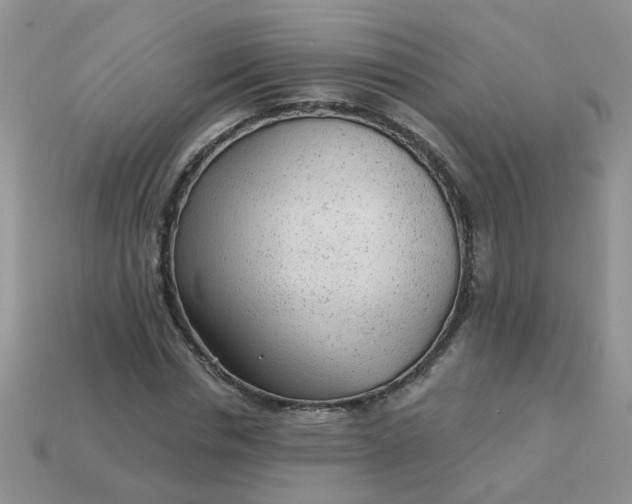 X0000113020826200909101836