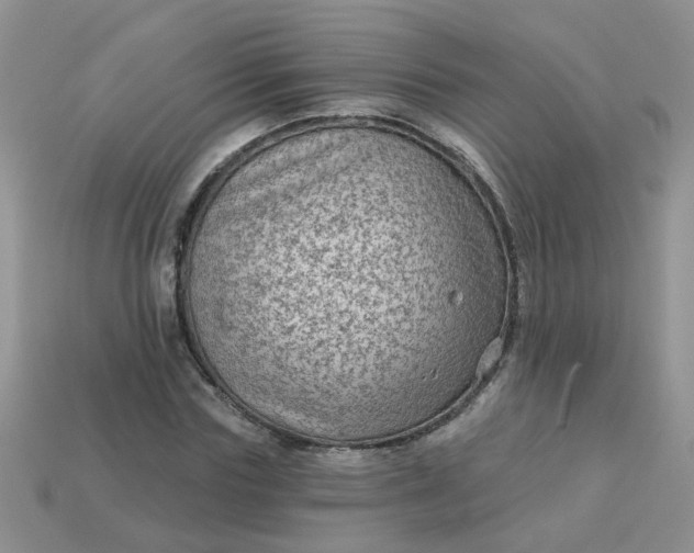 X0000113020827200909101836