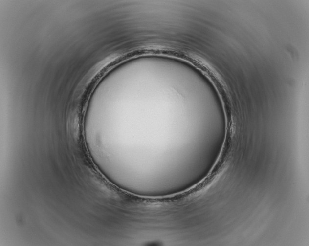 X0000113020829200909101836