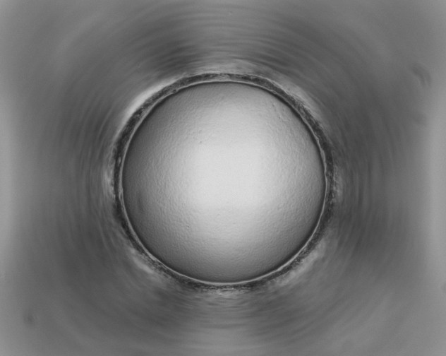 X0000113020830200909101836
