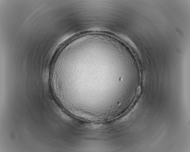 X0000113020831200909101836