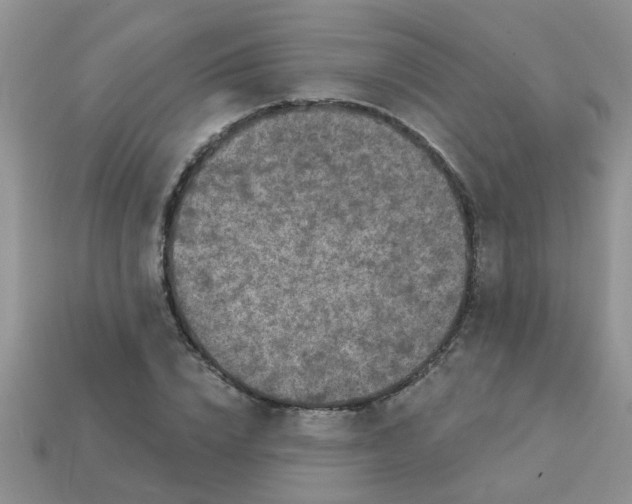 X0000113020832200909101836