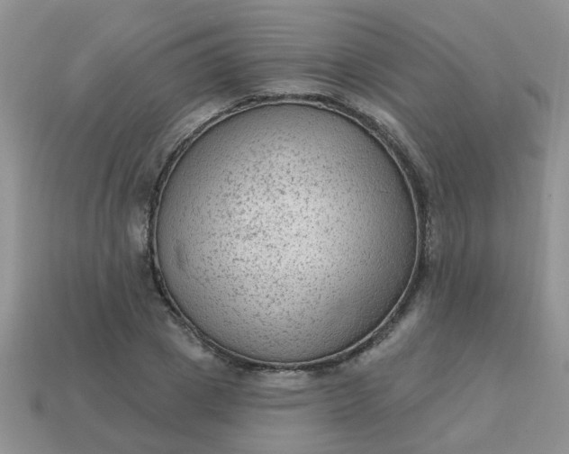 X0000113020833200909101836