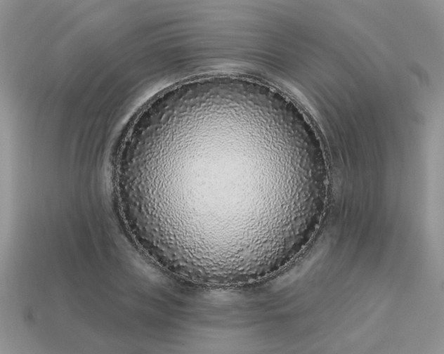 X0000113020835200909101836
