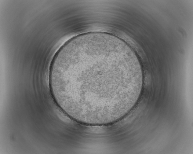 X0000113020836200909101836