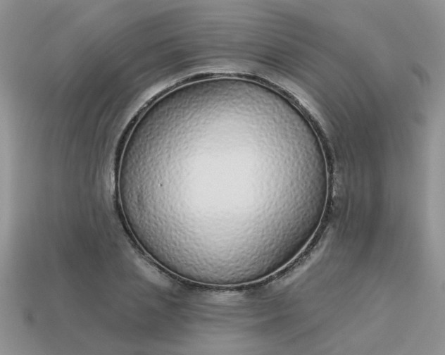 X0000113020837200909101836