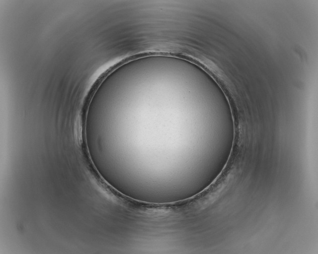 X0000113020838200909101836
