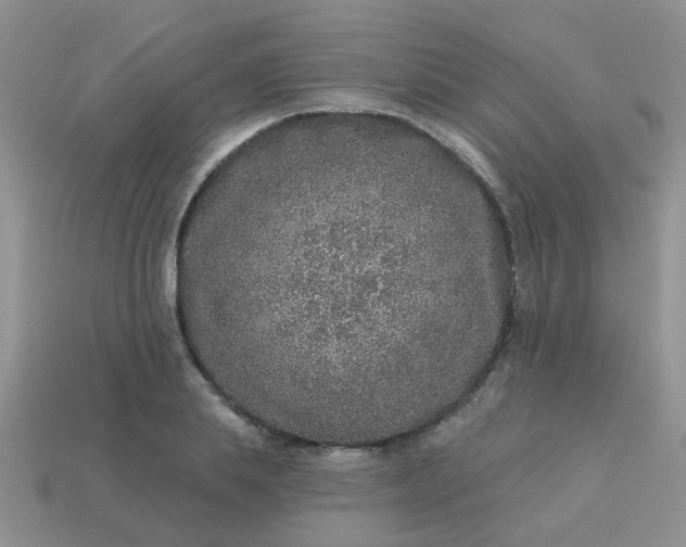 X0000113020839200909101836
