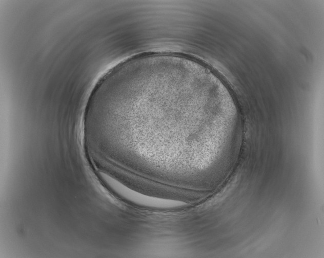 X0000113020840200909101836