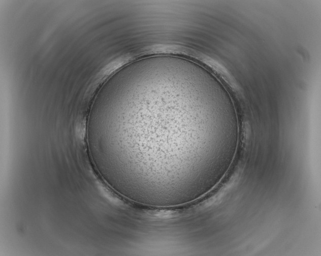 X0000113020841200909101836