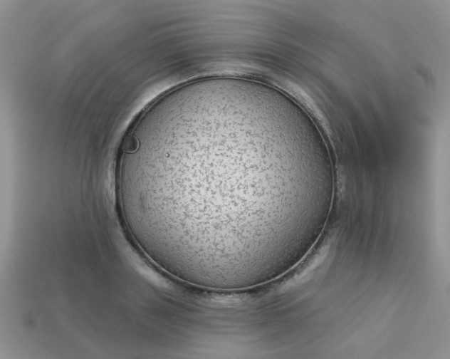 X0000113020843200909101836