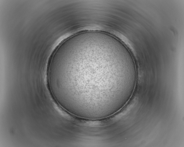 X0000113020845200909101836