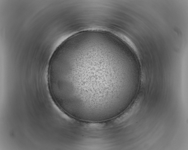 X0000113020847200909101836