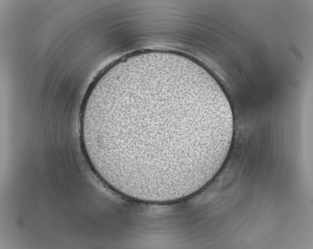 X0000113020848200909101836