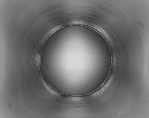 X0000113020849200909101836