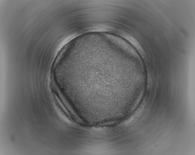 X0000113020850200909101836