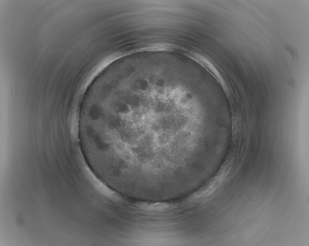 X0000113020851200909101836