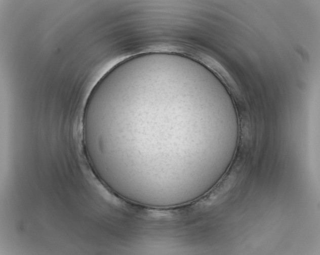 X0000113020852200909101836