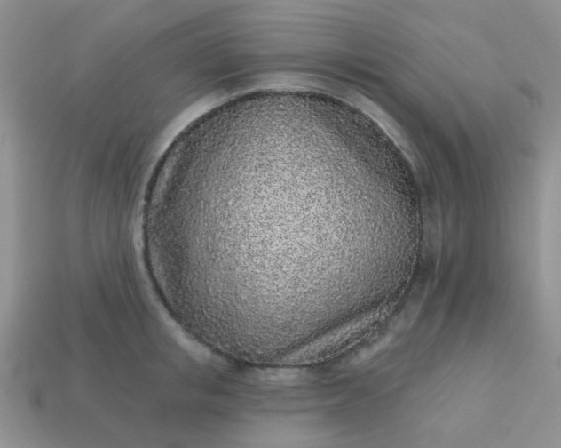 X0000113020853200909101836