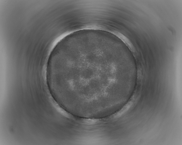 X0000113020854200909101836