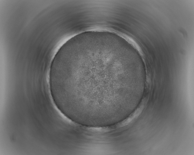 X0000113020855200909101836